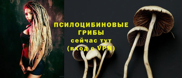 круглые Пересвет