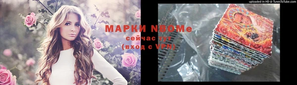прущие грибы Богданович