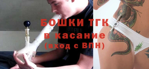 прущие грибы Богданович