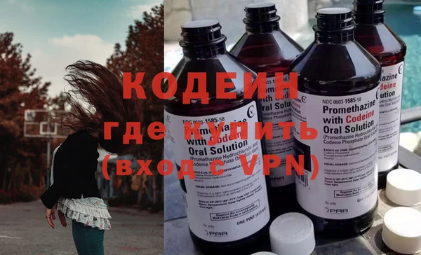 прущие грибы Богданович