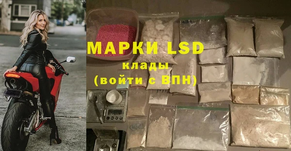 прущие грибы Богданович