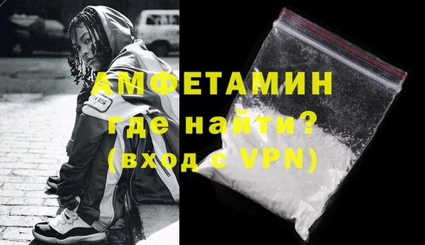 прущие грибы Богданович