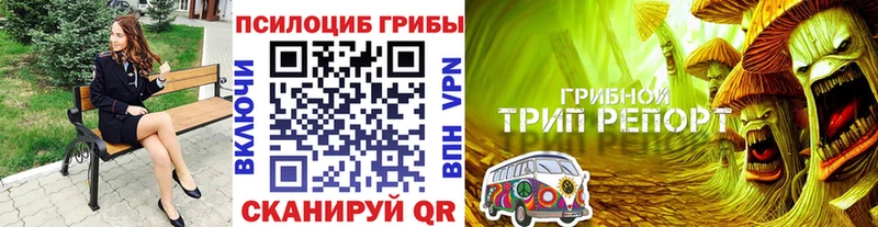 Галлюциногенные грибы ЛСД  mega ССЫЛКА  Севск  хочу  